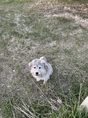 STHH Aurora (Lakota)